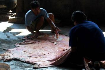 Bolehkah Menjual Kulit Hewan Qurban Untuk Kepentingan Masjid? 