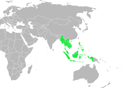 Sejarah Asia Tenggara (1) : Zaman Prasejarah