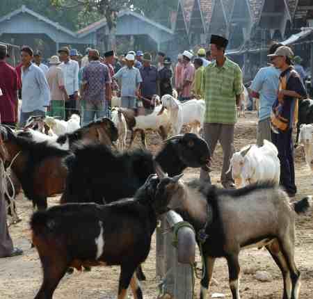 Kaidah - Kaidah Halal dan Haram (1)