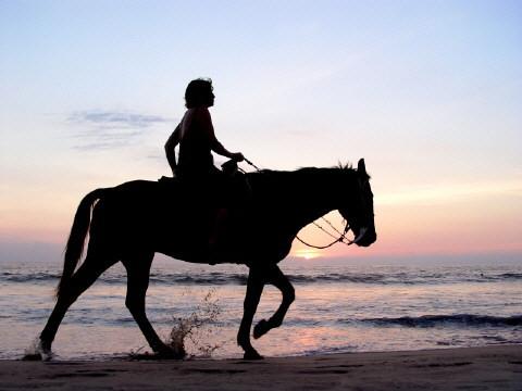 Hubungan antara manusia dengan kuda sudah dikenal sejak zaman purba