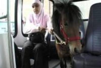  Muslimah Buta di Amerika Menggunakan Pony bukan Anjing