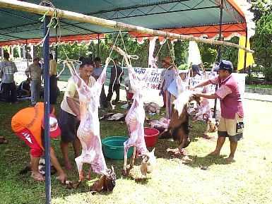 Bolehkah Wanita Menyembelih Kurban?