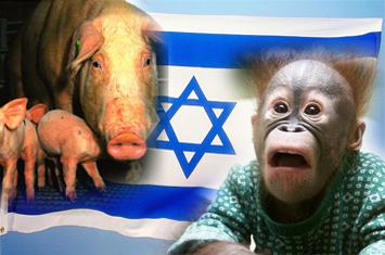 Enyahkan Israel dari Peta Dunia!