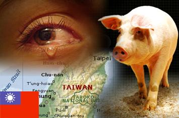 Majikan Biadab!! TKW Muslimah di Taiwan Dipaksa Makan Babi