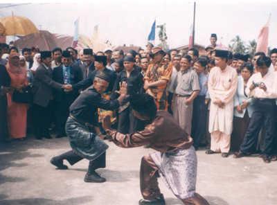 Pencak Silat, Seni Bela Diri Asli Melayu