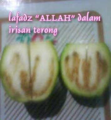 Lafaz 'Allah' Ditemukan dalam Irisan Terong