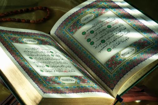 The Amazing Qur'an