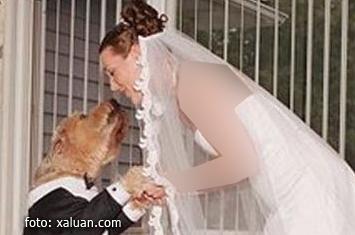 Gila!! Pendeta Togo Nikahkan Wanita Dengan Anjing