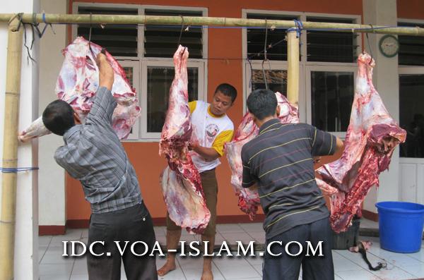 Maaf!!! Hari ini Tidak Ada Info Apapun, Kami Korban Berita untuk Qurban