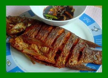 Ikan, Makanan Bagi Kesehatan Tulang Anda