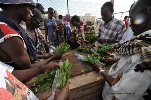 Al-Shabaab Tangkap 25 Orang Penjual Khat di Kismayo