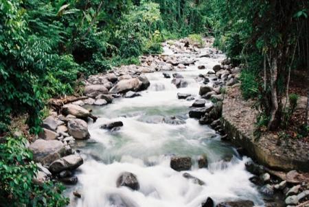 Jelang Ramadhan, MUI Kampar Haramkan 'Mandi Bareng' di Sungai