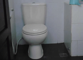 Toilet Umum Duduk Bisa Menularkan Diare 