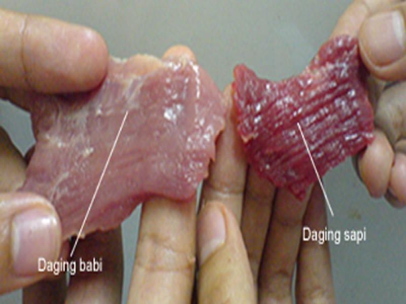 Waspadai Tiga Ciri Perbedaan Daging Babi dan Daging Sapi