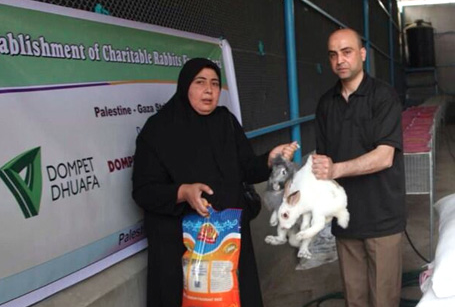 Gaza Food Bank: Dompet Dhuafa Wujudkan Ketahanan Pangan Warga Gaza