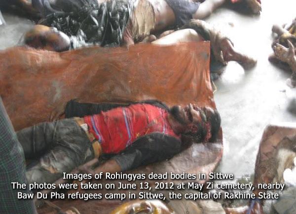 Muslim Rohingya Dibantai, Keselamatan umat Buddha Indonesia Terancam!
