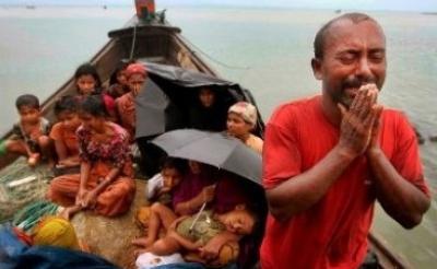 Terkatung-katung di Kapal, 482 Muslim Rohingya Berenang ke Malaysia
