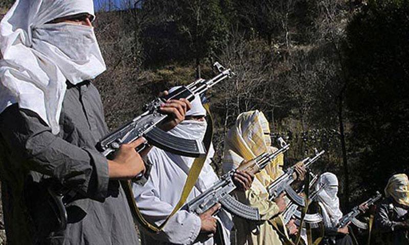 Taliban Pakistan Bebaskan 8 Pegawai Pemerintah yang Mereka Culik