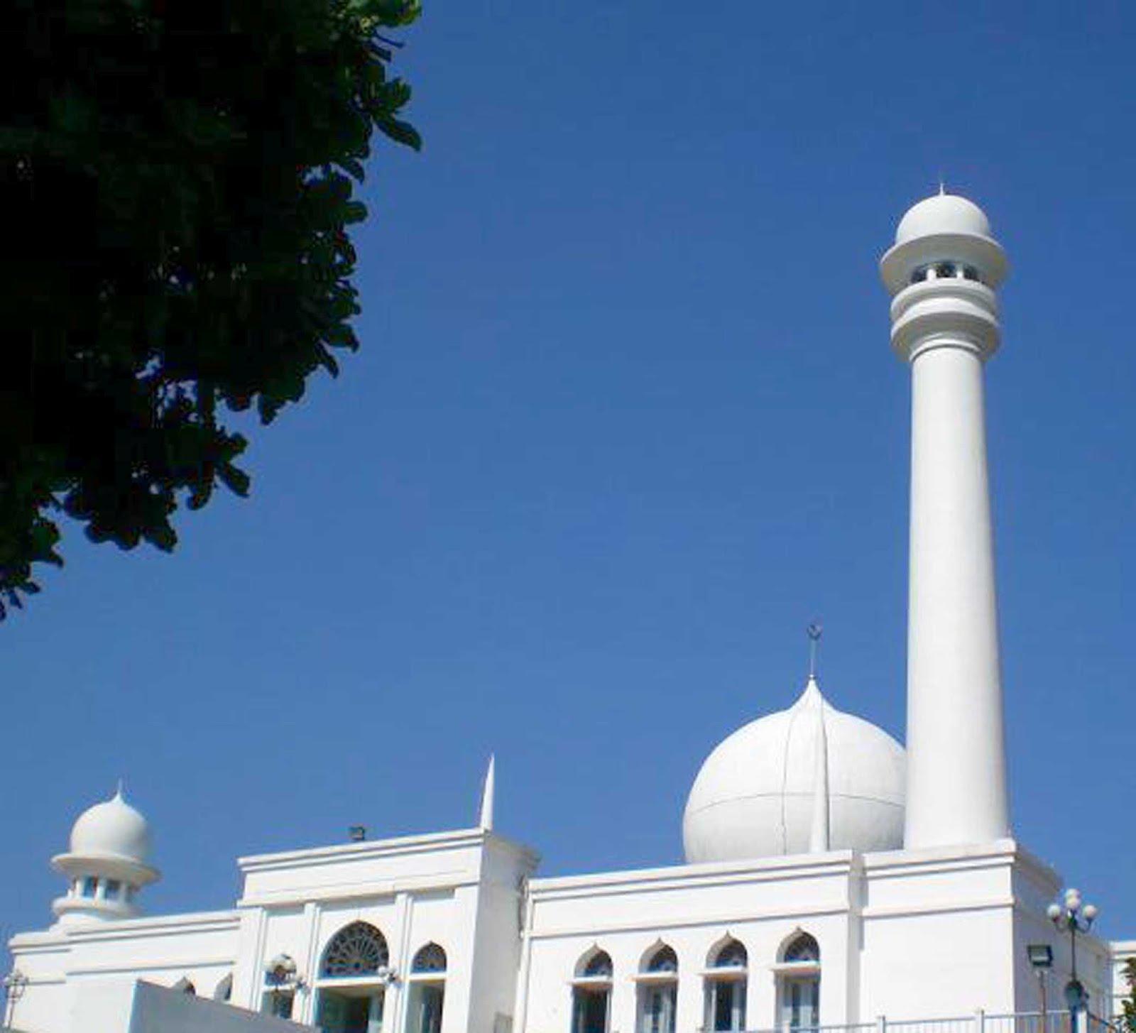 Saatnya Memakmurkan Masjid Dengan Paradigma Memberi (2)