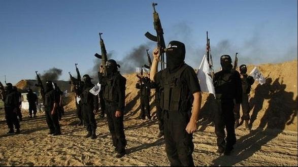 Australia Jatuhkan Sanksi kepada Kelompok Mujahidin Ansar Bayt Al-Maqdish