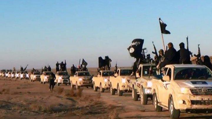 SOHR: Islamic State Kirim Bala Bantuan Mujahidin ke Kota Kobane