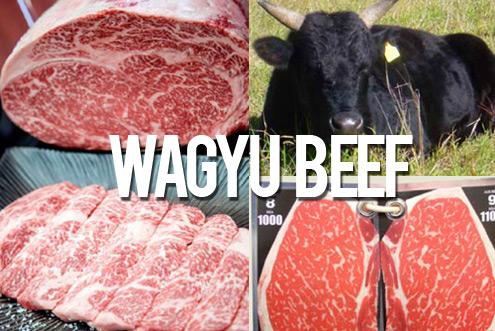 Ulama Malaysia Haramkan Daging Sapi Wagyu, Yoga dan Kopi Luwak