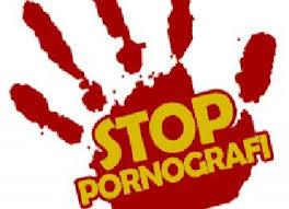Pornografi Buat Miris Bangsa, DPR RI Minta Menkominfo & Mensos Gerak Cepat
