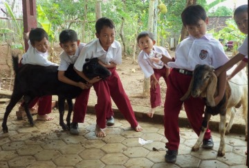 Patungan 'Latihan' Kurban Satu Kelas, Apa Hukumnya?