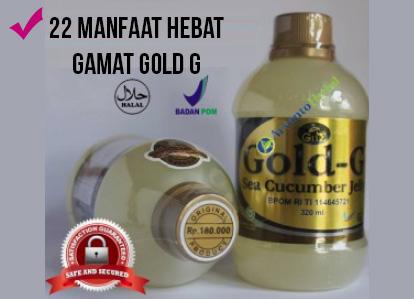 Gold G Gamat Selain Baik untuk Sembuhkan Luka, Ada 22 Manfaat lainnya...