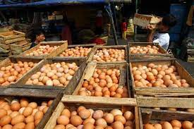 Kenaikan Harga Telur Bikin Rakyat Babak Belur