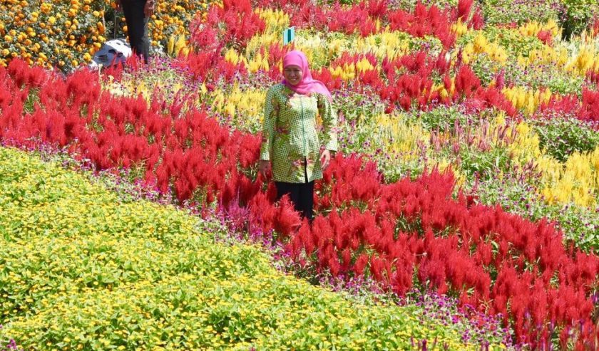 Genjot Pariwisata Jatim, Kebijakan Pahit di Era Covid