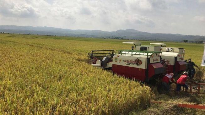 Sanggupkah Indonesia Menjadi Lumbung Pangan Dunia?