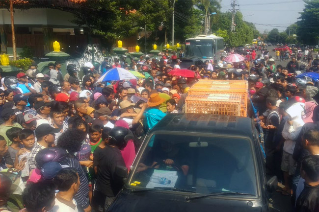 Bagi-bagi Ayam Gratis di Yogyakarta Berlangsung Ricuh