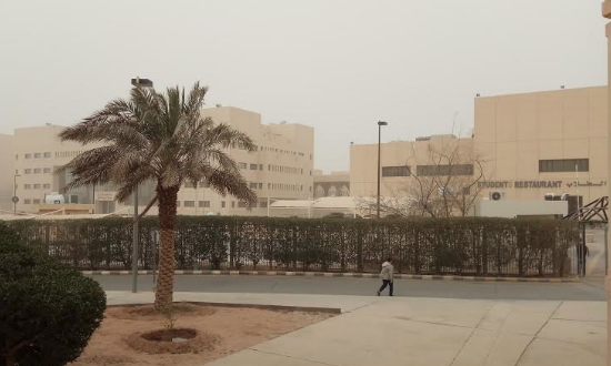 Sarapan Pagi di Tengah Badai Debu Kota Riyadh