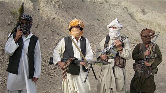 Taliban Undang Senator AS untuk Lakukan 'Perundingan Bersama' di Doha