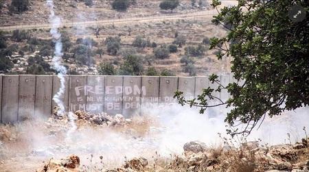 Laporan: Zionis Israel Akan Bangun Dinding Beton di Sepanjang Perbatasan dengan Gaza