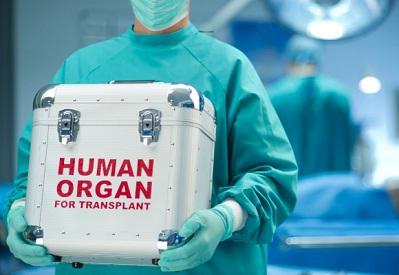 Polisi Turki Tahan Warga Yahudi Israel Penjual Organ Tubuh Penungsi Suriah