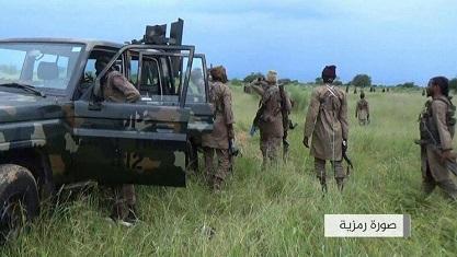16 Tentara Nigeria Hilang Setelah Serangan Boko Haram di Wilayah Danau Chad