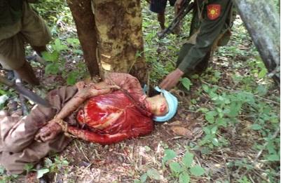 Utusan PBB: Myanmar Tidak Mau Menyelidiki Genosida Terhadap Muslim Rohingya