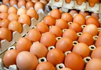 Belanda Tangkap 2 Tersangka Terkait Skandal Telur Eropa