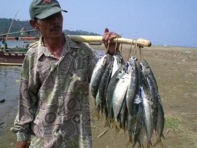 Puluhan Tahun Melaut, Ini Kali Pertama Nelayan Mengalami Kesusahan Terparah