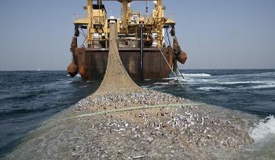 Laut Kita semakin Sepi, Illegal Fishing semakin Ramai 