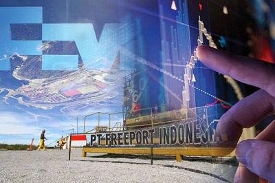 Dapat Divestasi dari Freeport tapi Pemerintah Bangun Smelter Sendiri