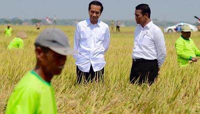 Jokowi Disebut Abai ke Petani dan Nelayan, Ini Datanya