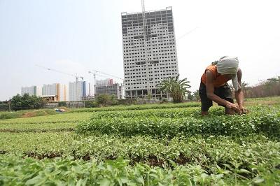 Diragukan Keuntungan untuk Petani walau Infrastruktur Terus Digenjot Jokowi