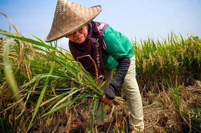 Menteri Perindustrian Dituding Rendahkan Profesi Petani