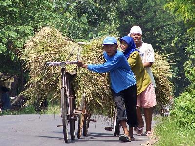 Tiga Tahun Terakhir Menjabat, Pemerintahan Jokowi Sumbang Kemiskinan (Meningkat)