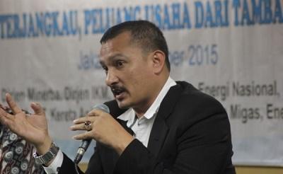 Divestasi Saham Freeport, Politisi: Prestasi atau Kebodohan?