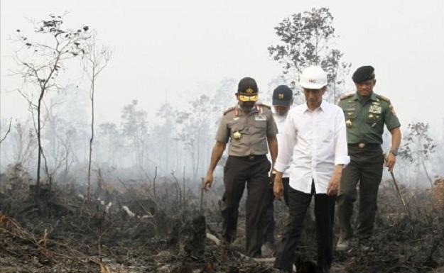 Walhi Organisir dan Galang Kekuatan untuk Tuntut Presiden Jokowi Perihal Asap