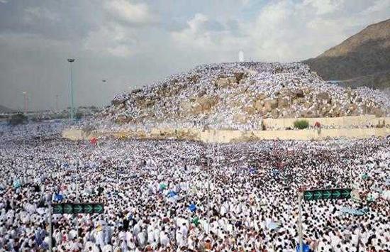 Di Arafah Sejauh Mata Memandang Haji Warna Putih, Seperti di Padang Mahsyar
